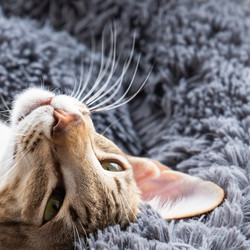 Similar image 21466738