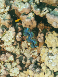 Similar image 21466741