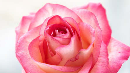 Similar image 21466742