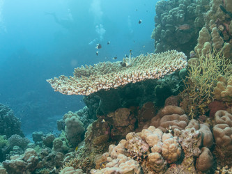 Similar image 21466743