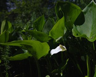 Similar image 21480496