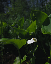 Similar image 21480498