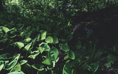 Similar image 21480502