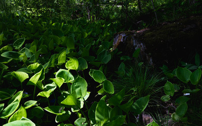 Similar image 21480506