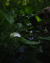 Similar image 21480508