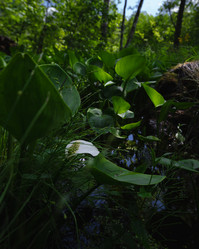 Similar image 21480511