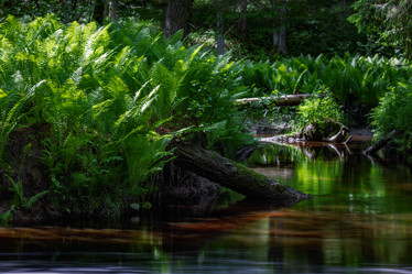 Similar image 21480514