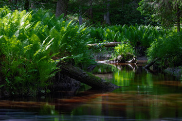 Similar image 21480517