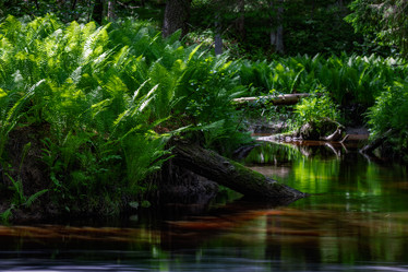 Similar image 21480518