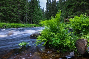 Similar image 21480520