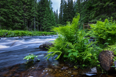 Similar image 21480521