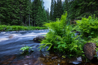 Similar image 21480522