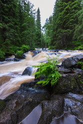 Similar image 21480524