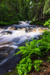 Similar image 21480525