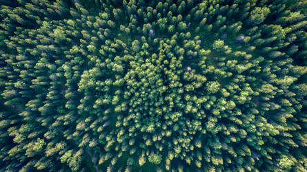 Similar image 21480526