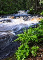 Similar image 21480527