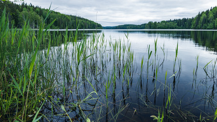 Similar image 21480528