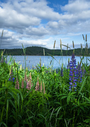 Similar image 21480574