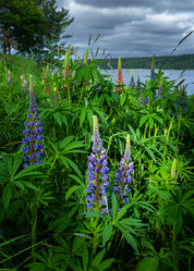 Similar image 21480575