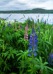 Similar image 21480576