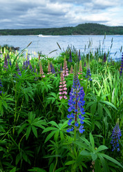 Similar image 21480577