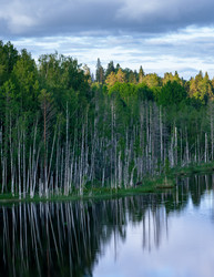 Similar image 21480580