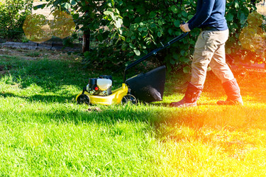 Similar image 21468338