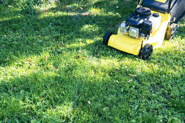 Similar image 21468339