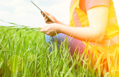 Similar image 21468340