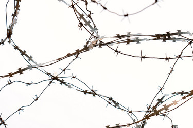 Similar image 21468342