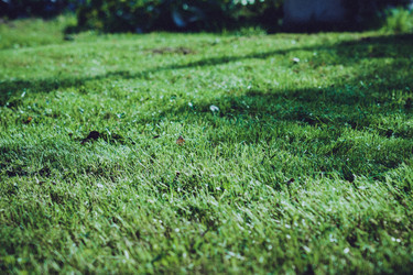 Similar image 21468346