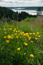 Similar image 21480531