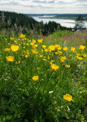 Similar image 21480532