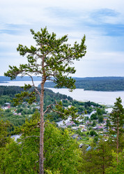 Similar image 21480544