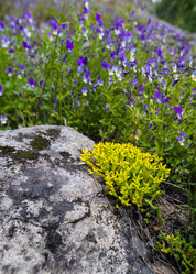 Similar image 21480546