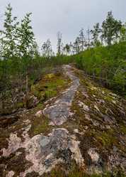 Similar image 21480548