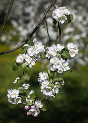 Similar image 21480550