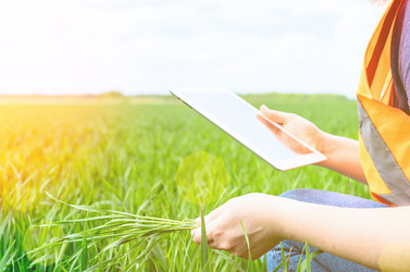 Similar image 21468359