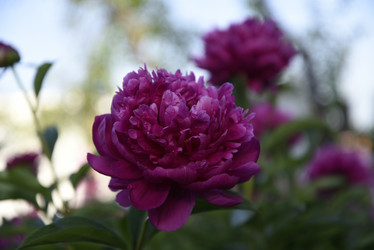 Similar image 21467345