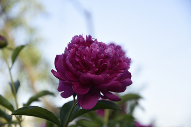 Similar image 21467346