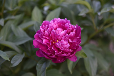 Similar image 21467347