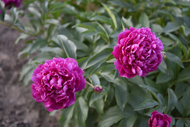 Similar image 21467348