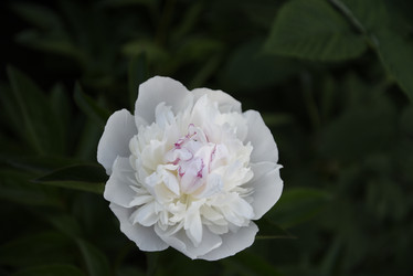 Similar image 21467349