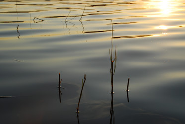 Similar image 21474993