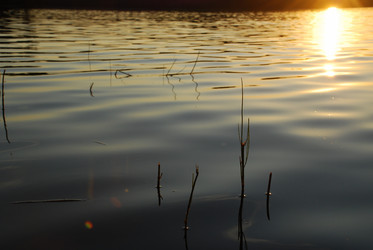 Similar image 21474994