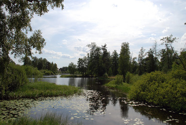 Similar image 21474995