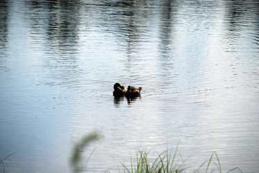 Similar image 21474997