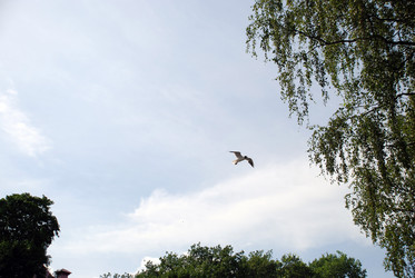 Similar image 21475001