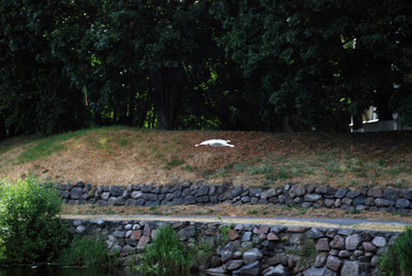 Similar image 21475003