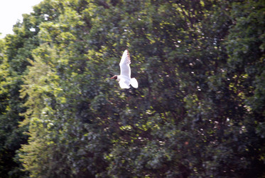 Similar image 21475007